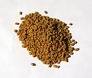 fenugreek3.jpg