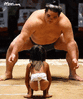 sumo.gif