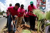 Zain Planting Washington Palms along AH Mwinyi RD.JPG