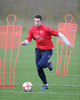 gun__1271164592_vanpersie_train4.jpg