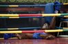 Orangutanskickboxing3.jpg
