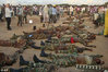 Alshabab display kenyan bodies.jpg