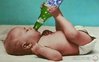 baby-beer-drinking.jpg