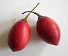 120px-Tamarillos(janek2005).jpg