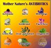 MOTHER NATURE ANTIBIOTICS.jpg