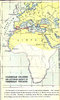 Africa year -60.jpg