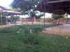 IMG-20131218-00463.jpg