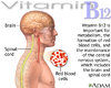 Vitamin B12.jpg