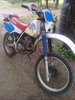 250-2.jpg