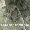 ccm noma.jpg