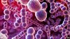 bacteria.jpg
