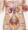 UrinaryTractInfection.jpg