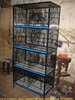 Excellent-quality-We-manufacture-all-type-Cages-20131218161509.jpg