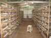 quail cage2.jpg