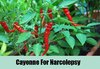 Cayenne-For-Narcolepsy.jpg