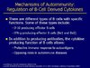 MECHANISMS.jpg