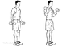 Standing_Dumbbell_Curl.png