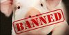 pig-banned.jpeg