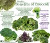 BROCCOLI.jpg