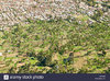 aerial-view-of-mbeya-town-and-adjacent-fields-tanzania-HA2MHB.jpg