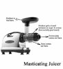 Masticating-Juicer.jpg