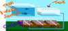 aquaponic2.png