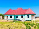 rickrealestatetz-20221208-0006.jpg