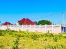 rickrealestatetz-20221208-0008.jpg