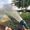 watering3.jpg