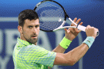 1684443026_novak.gif