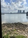 IMG_2316.jpeg