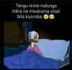 IMG_2482.jpeg