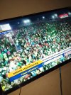 IMG_20240706_032301_961.jpg
