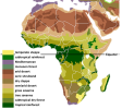 800px-Vegetation_Africa.png