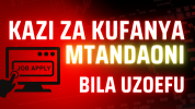 KAZI ZA KUFANYA MTANDAONI BILA UZOEFU.png