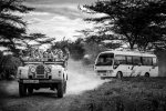 Arusha-Safari-Tanzanian-Wedding-Top-South-African-Wedding-Photographer-Jacki-Bruniquel-036--76...jpg