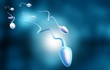 how-long-does-it-take-sperm-to-develop-1.jpg