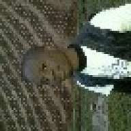 mosesmwambapa