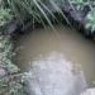 Christopher H.Bomola