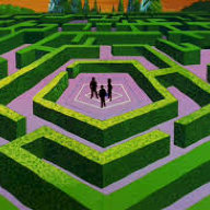 the maze