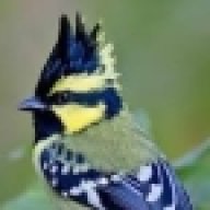 kalooo son of Kambarage