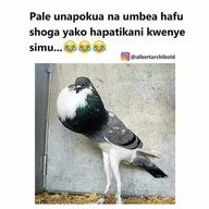 Michaeljackson Assenga