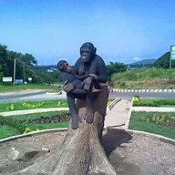 Mchaga Boy