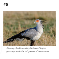 The Sunk Cost Fallacy