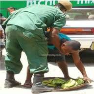 Mwananchi wa Kawaida