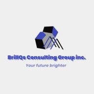 BriilQs Consulting Group