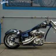 MWANAZUONI MTI MKAVU