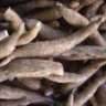 Cassava