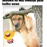 presure