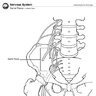 romanhubert8